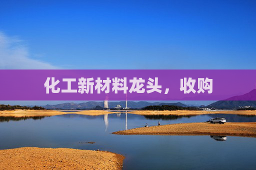化工新材料龙头，收购