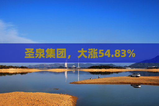 圣泉集团，大涨54.83%