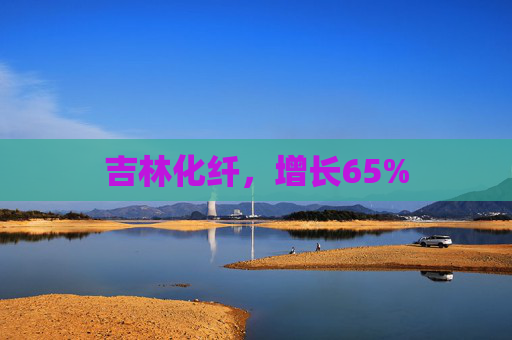 吉林化纤，增长65%