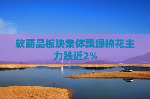 软商品板块集体飘绿棉花主力跌近2%