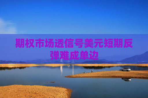 期权市场透信号美元短期反弹难成单边