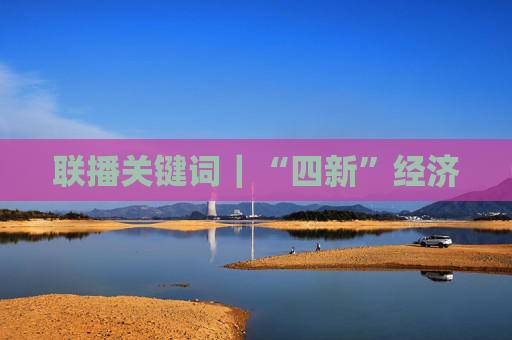 联播关键词｜“四新”经济