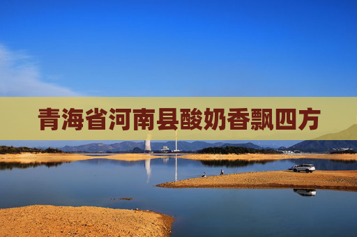 青海省河南县酸奶香飘四方