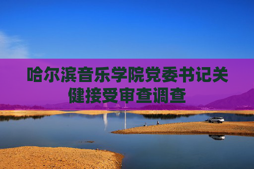 哈尔滨音乐学院党委书记关健接受审查调查