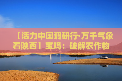 【活力中国调研行·万千气象看陕西】宝鸡：破解农作物优质高产“密码” 铜川：磷化铟成为多领域技术突破的基石