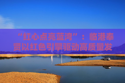 “红心点亮蓝湾”：临港奉贤以红色引擎驱动高质量发展