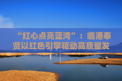 “红心点亮蓝湾”：临港奉贤以红色引擎驱动高质量发展