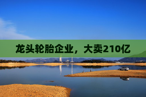 龙头轮胎企业，大卖210亿