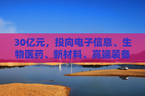 30亿元，投向电子信息、生物医药、新材料、高端装备、智能制造