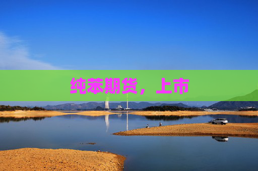 纯苯期货，上市