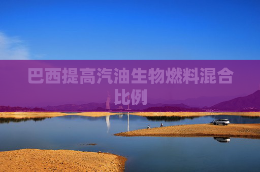 巴西提高汽油生物燃料混合比例