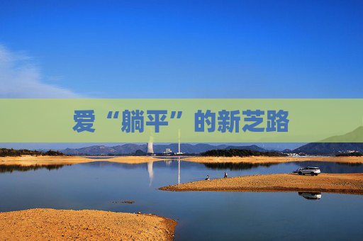 爱“躺平”的新芝路