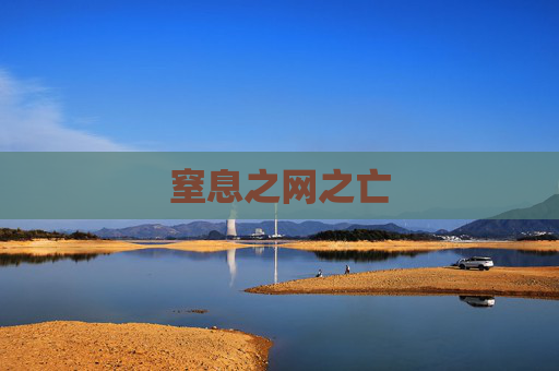窒息之网之亡