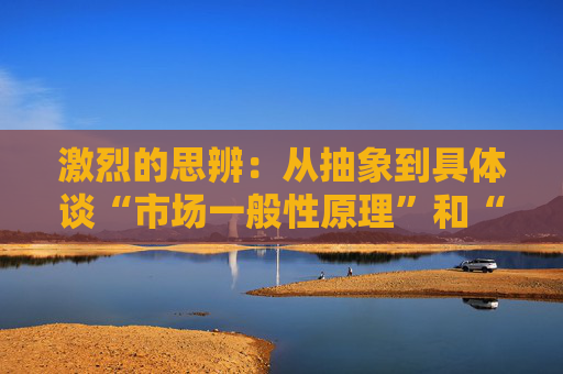激烈的思辨：从抽象到具体谈“市场一般性原理”和“公有资本”