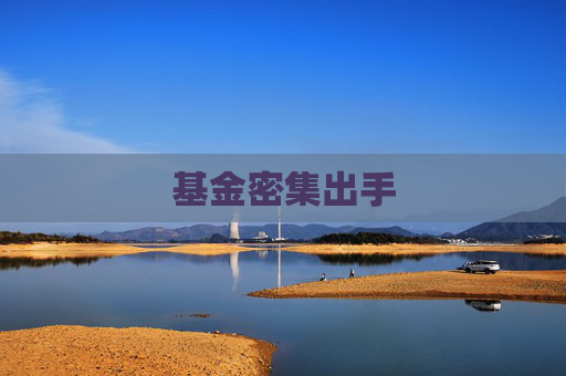 基金密集出手