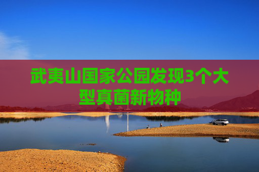 武夷山国家公园发现3个大型真菌新物种