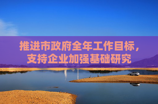 推进市政府全年工作目标，支持企业加强基础研究