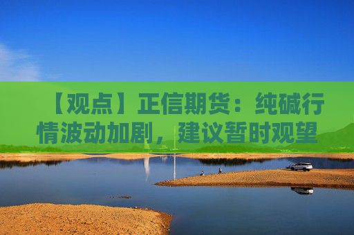 【观点】正信期货：纯碱行情波动加剧，建议暂时观望