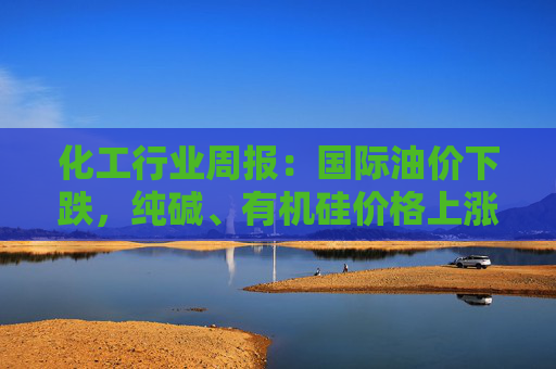 化工行业周报：国际油价下跌，纯碱、有机硅价格上涨