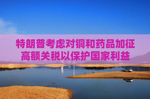 特朗普考虑对铜和药品加征高额关税以保护国家利益