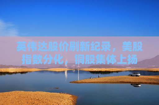 英伟达股价刷新纪录，美股指数分化，铜股集体上扬