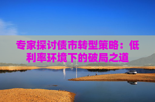 专家探讨债市转型策略：低利率环境下的破局之道