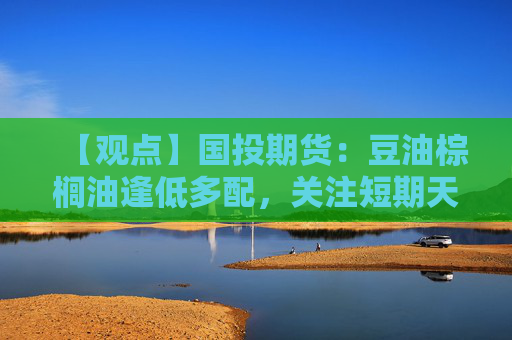 【观点】国投期货：豆油棕榈油逢低多配，关注短期天气变化