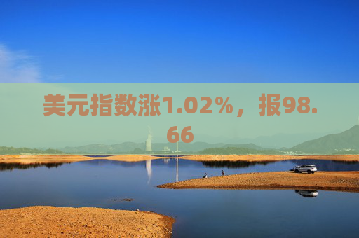 美元指数涨1.02%，报98.66