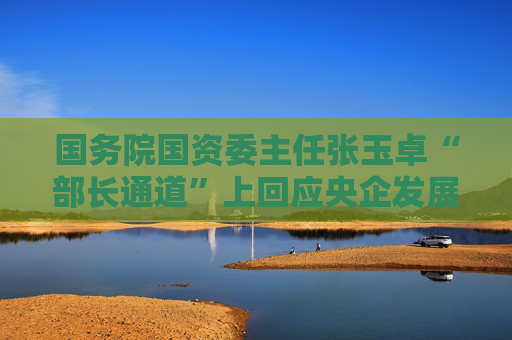 国务院国资委主任张玉卓“部长通道”上回应央企发展问题