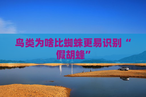 鸟类为啥比蜘蛛更易识别“假胡蜂”