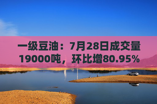 一级豆油：7月28日成交量19000吨，环比增80.95%
