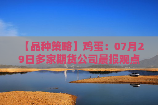 【品种策略】鸡蛋：07月29日多家期货公司晨报观点汇总