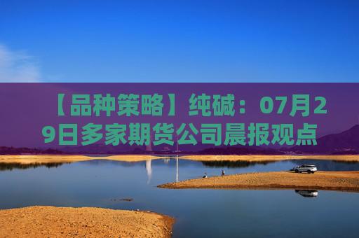 【品种策略】纯碱：07月29日多家期货公司晨报观点汇总