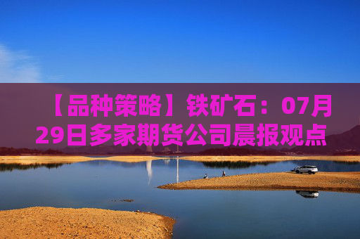 【品种策略】铁矿石：07月29日多家期货公司晨报观点汇总