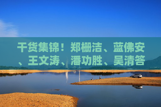 干货集锦！郑栅洁、蓝佛安、王文涛、潘功胜、吴清答记者问