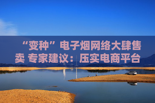 “变种”电子烟网络大肆售卖 专家建议：压实电商平台责任