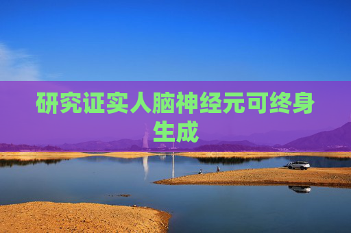 研究证实人脑神经元可终身生成