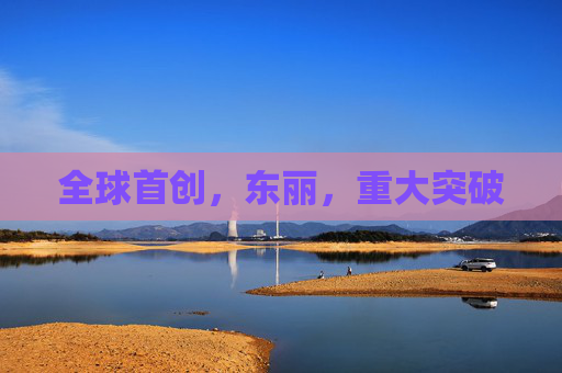 全球首创，东丽，重大突破